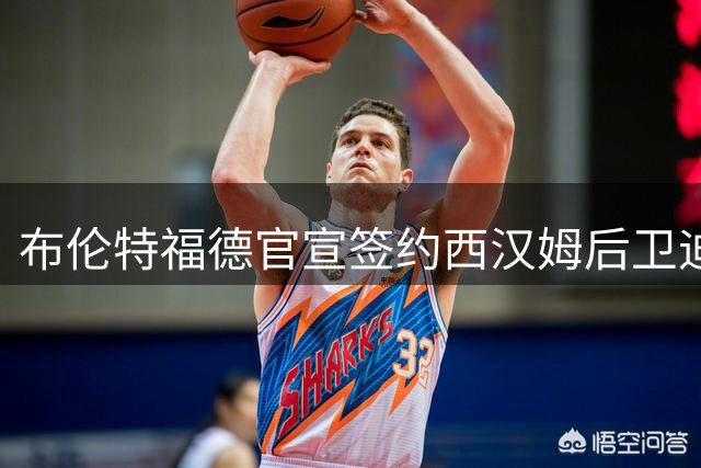 布伦特福德官宣签约西汉姆后卫迪乌夫 总价达四千万镑